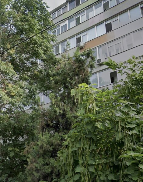 Ion Mihalache, Chibrit apartament 2 camere,