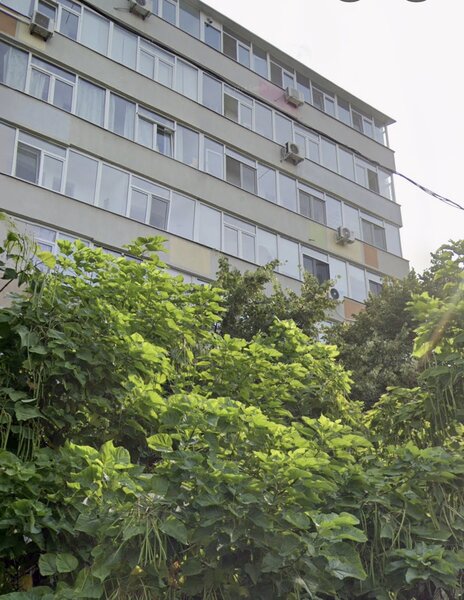 Ion Mihalache, Chibrit apartament 2 camere,